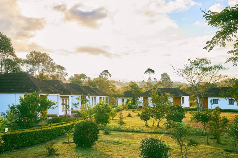 WhatsApp Image 2025-05-07 à 12.37.14_8da0d169