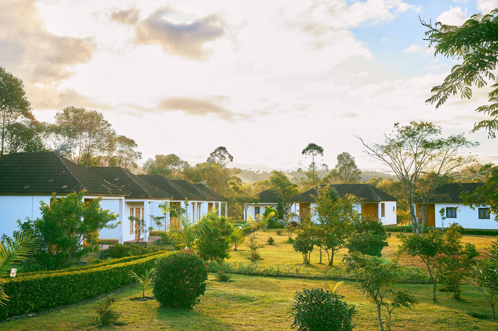 WhatsApp Image 2025-05-07 à 12.37.14_8da0d169